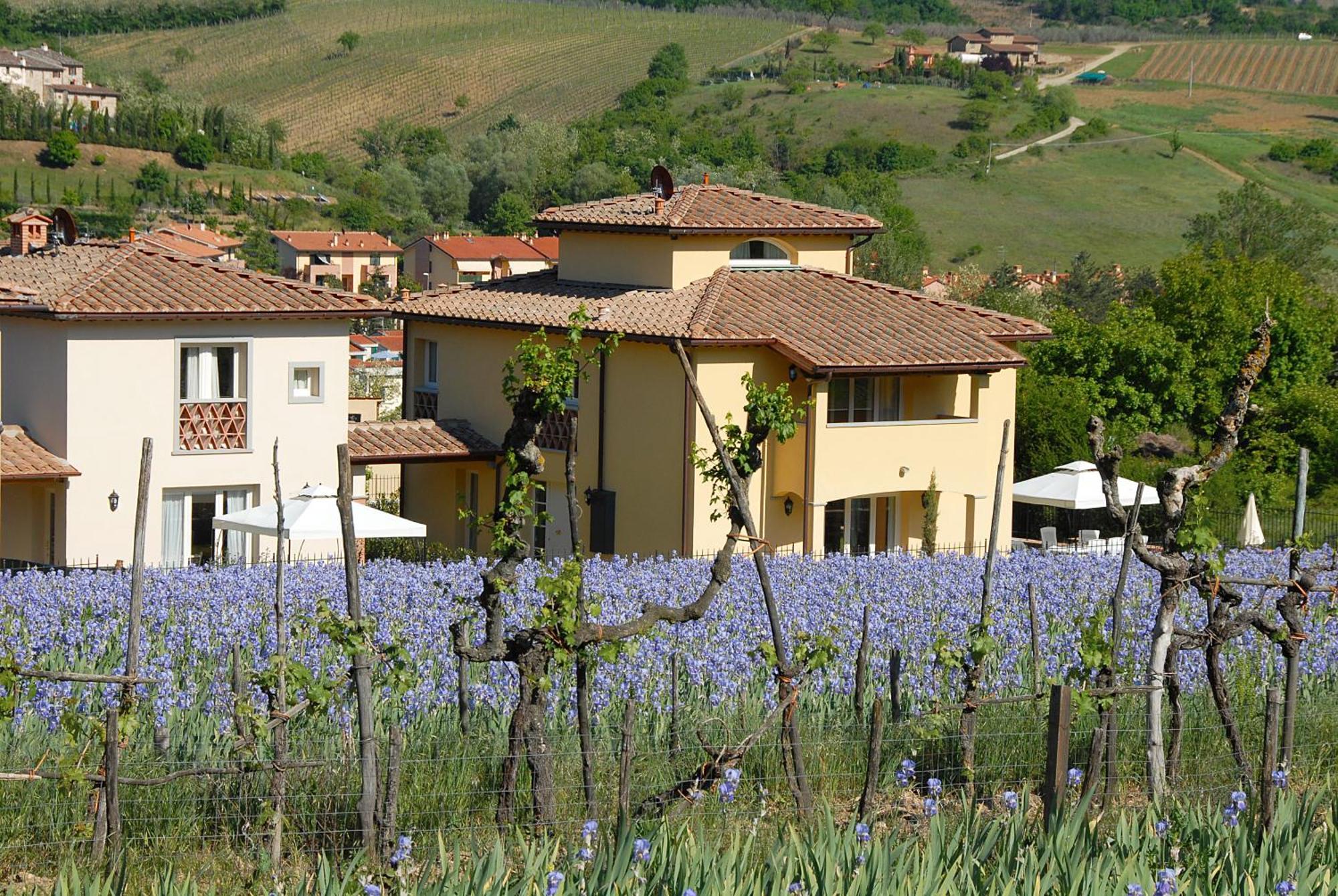 Residenza Le Grillaie Villa Greve in Chianti Ngoại thất bức ảnh